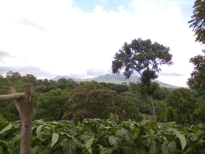 View of the Masaya Volcano from a tobacco farm. You will see the mixture of types of small scale agriculture, of which this is one example. We can see, in season, how different crops like tobacco and coffee are processed.